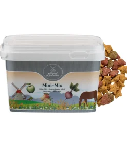 Assortiment de mini-friandises