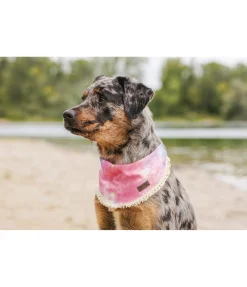 Bandana Batik pour chien Dakota