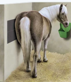 Bande de pansage et de massage