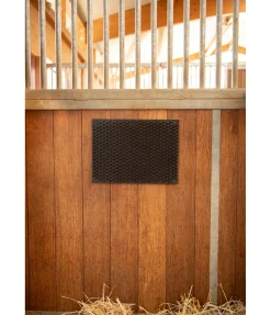 Bande de pansage et de massage