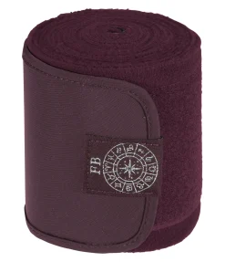 Bandes en polaire Astro