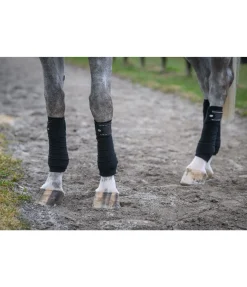 Bandes en polaire Brilliant