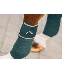 Bandes en polaire Classy