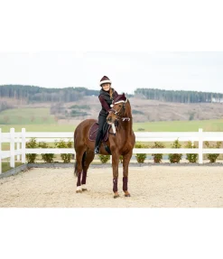 Bandes en polaire Collection de Noël