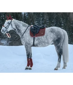 Bandes en polaire Collection de Noël