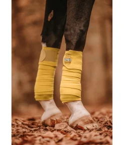 Bandes en polaire Essential