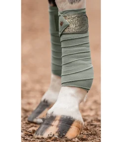 Bandes en polaire Glitter Explosion