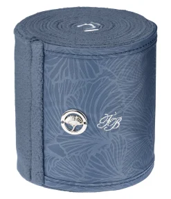 Bandes en polaire Hope