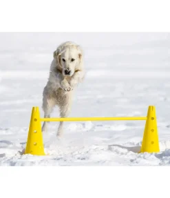 Barres d'agility