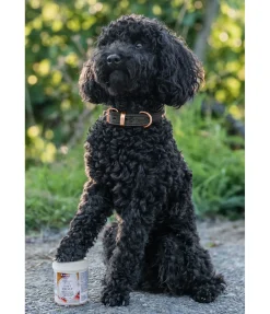 Baume coussinets pour chien Soft Velvet