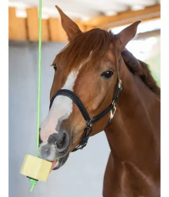 Bonbon à lécher Banane