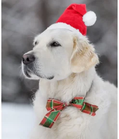 Bonnet de Noël pour chien Santa