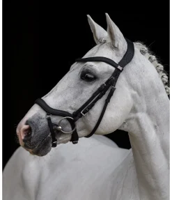 Bridon Albury II Competition