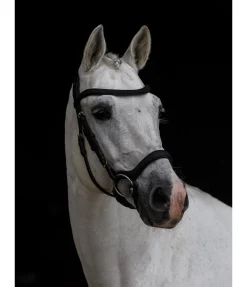 Bridon Albury II Competition