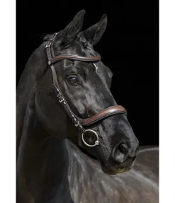 Bridon Anatomical Vision Space