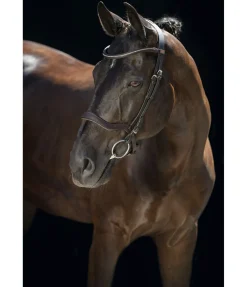 Bridon Comfort Space