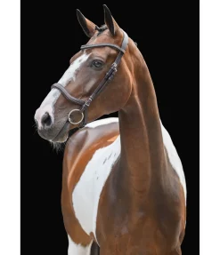 Bridon Comfort Space