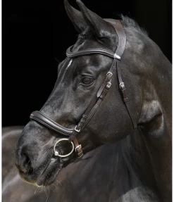 Bridon Gently Anatomical Innovation