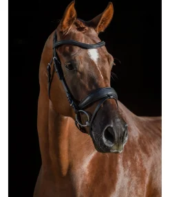 Bridon Soft Comfort PRO