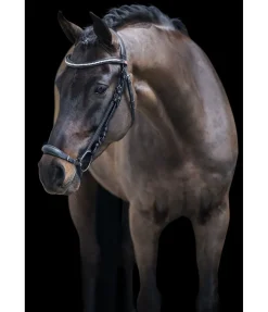 Bridon avec muserolle allemande Perfect Fit