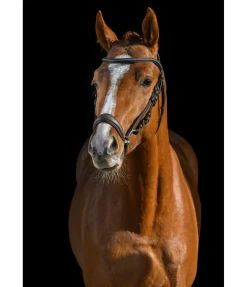 Bridon avec muserolle allemande Soft Comfort