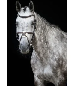 Bridon avec muserolle croisée Diabolo