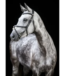 Bridon avec muserolle croisée Diabolo
