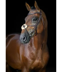 Bridon avec muserolle croisée Stitch