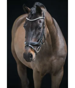 Bridon avec noseband amovible Berlin