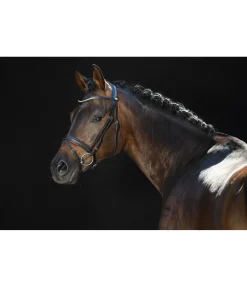 Bridon FELIX BÜHLER Classy Comfort