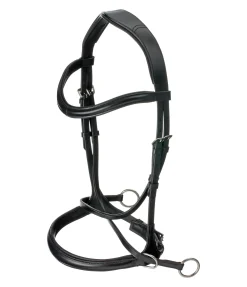 Bridon sans mors 5 en 1