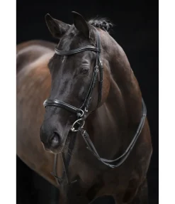 Bridon sans mors 5 en 1