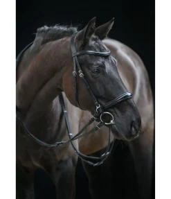 Bridon sans mors 5 en 1