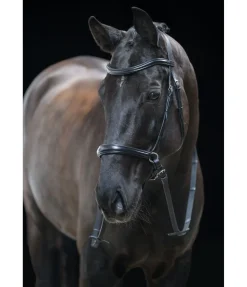 Bridon sans mors 5 en 1