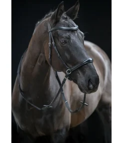Bridon sans mors 5 en 1