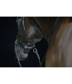 Bridon sans mors 5 en 1