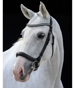 Bridon sans noseband Vienna Soft
