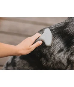 Brosse à démêler pour chien Maylo