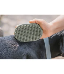 Brosse pour chien Zeyna