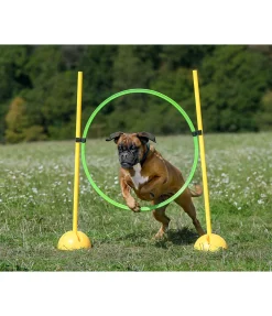 Cerceaux d'agility