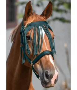 Chasse-mouches à prix économique