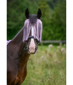 Chasse-mouches à prix économique