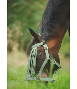 Chasse-mouches à prix économique