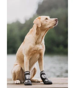 Chaussons pour chien Dubai