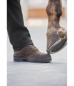 Chaussures d'écurie ou de travail à coque acier Adventure
