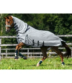 Chemise anti-mouches avec couvre-cou Karoo