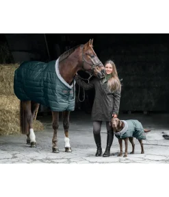 Chemise d'écurie Stay Cosy