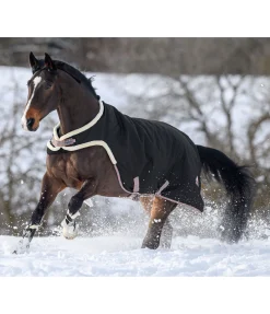 Chemise de marcheur Ceramic Rehab