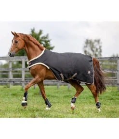 Chemise de marcheur Ceramic Rehab