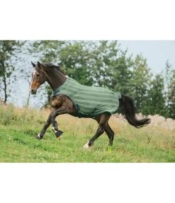 Chemise de marcheur anti-mouches Economy Light